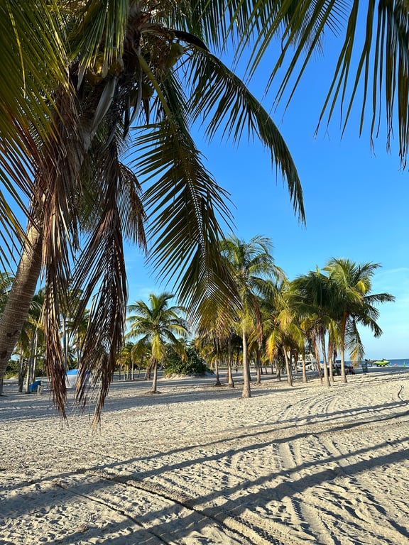 Crandon Park