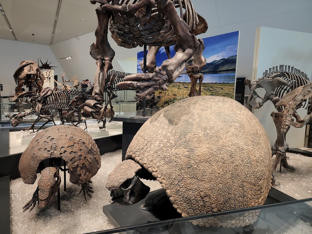 Royal Ontario Museum