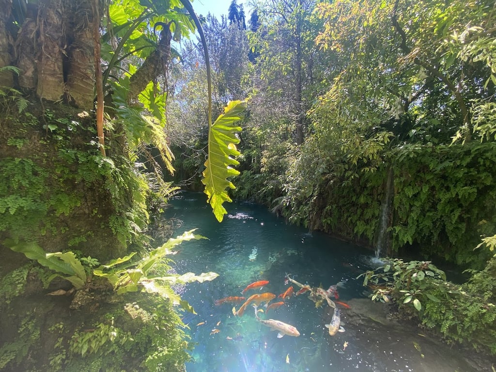 Patch of Heaven Gardens