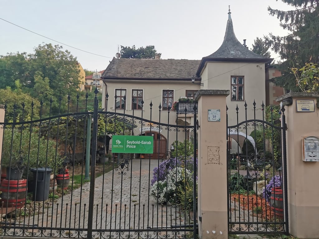 Seybold-Garab Pince