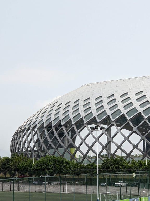 Shenzhen Bay Sports Stadium