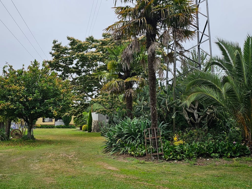 Quinta do Recanto