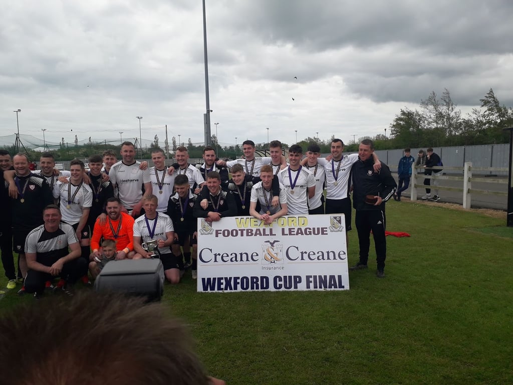 Ferrycarrig Park