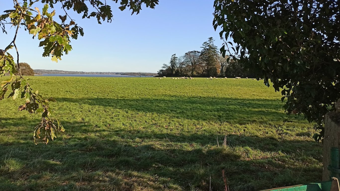 Ferrycarrig Park