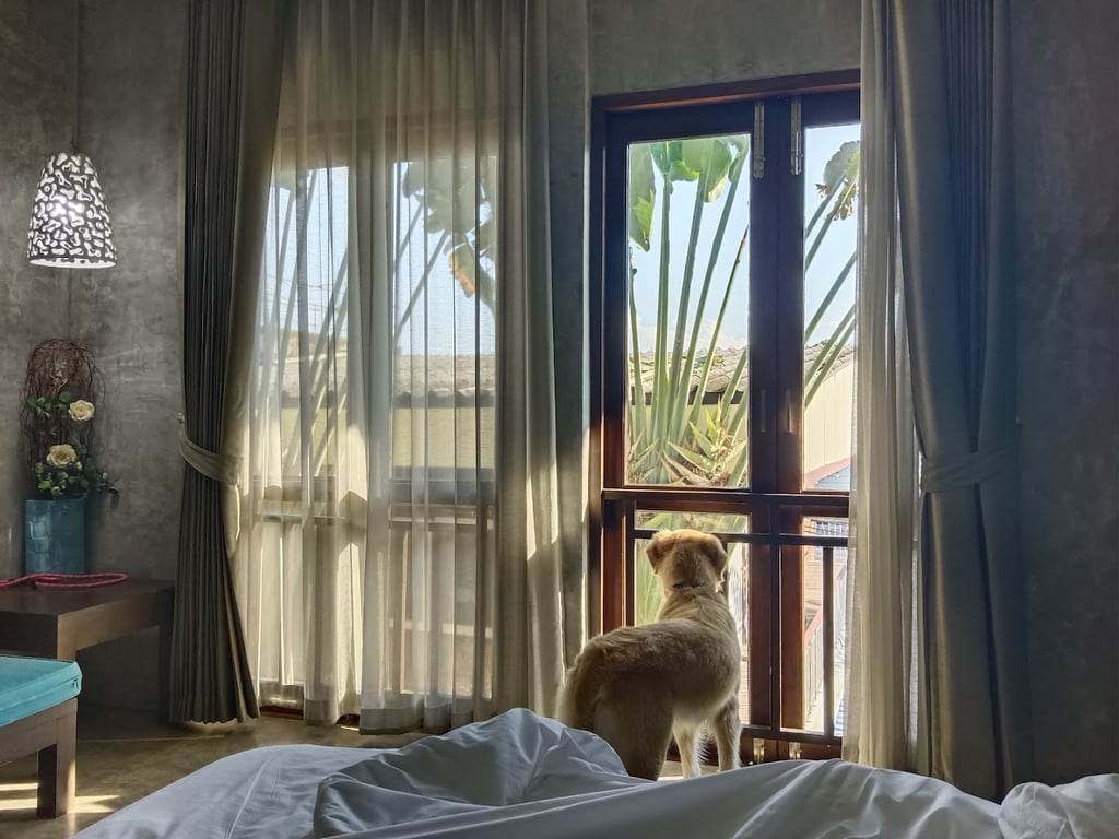 Ketawa Pet Friendly Hotel