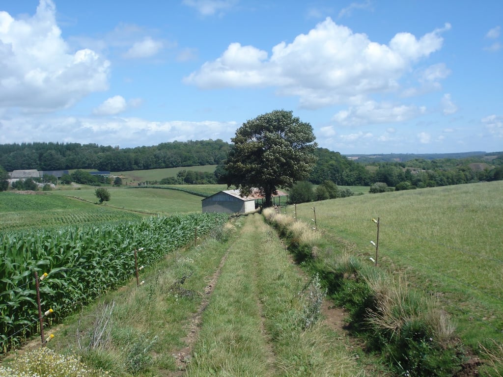 Domaine du Mozet