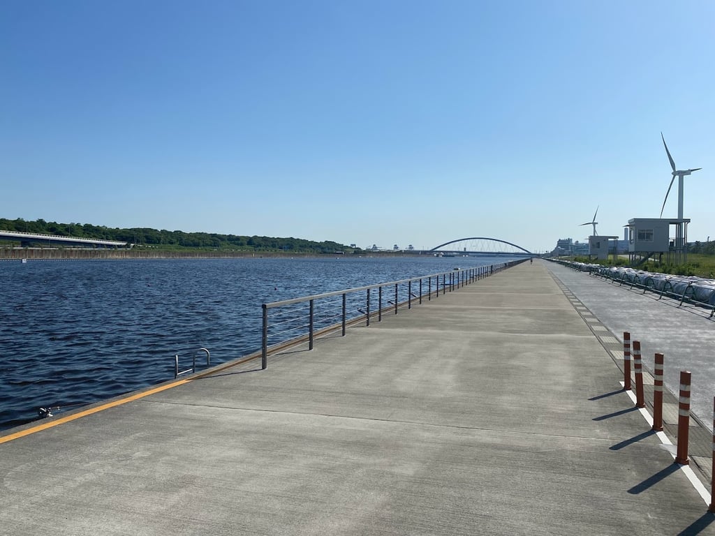 Sea Forest Waterway