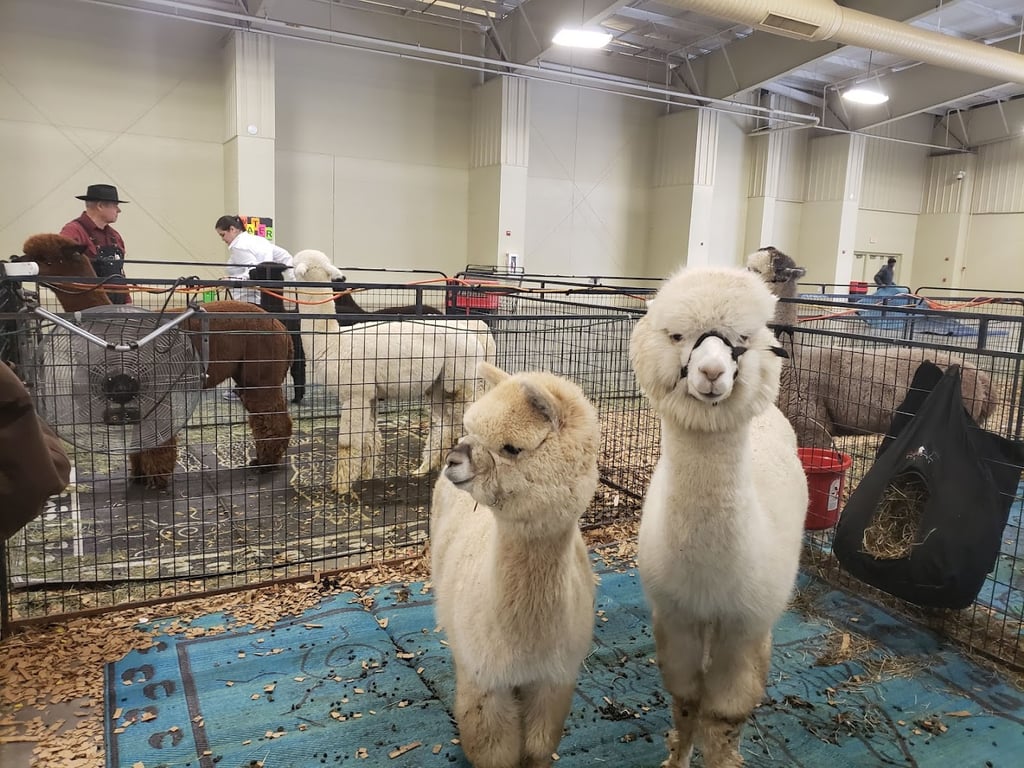 Cabarrus Arena