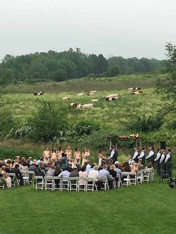 South Farms