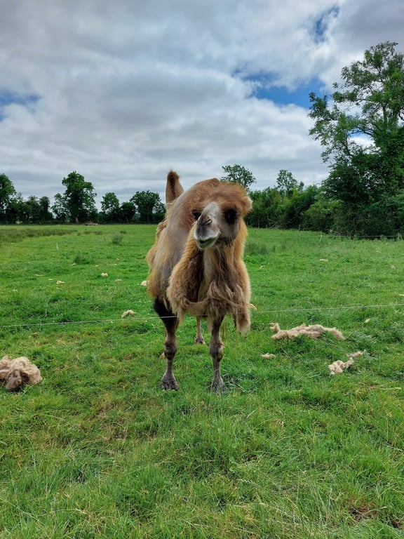 Causey Farm