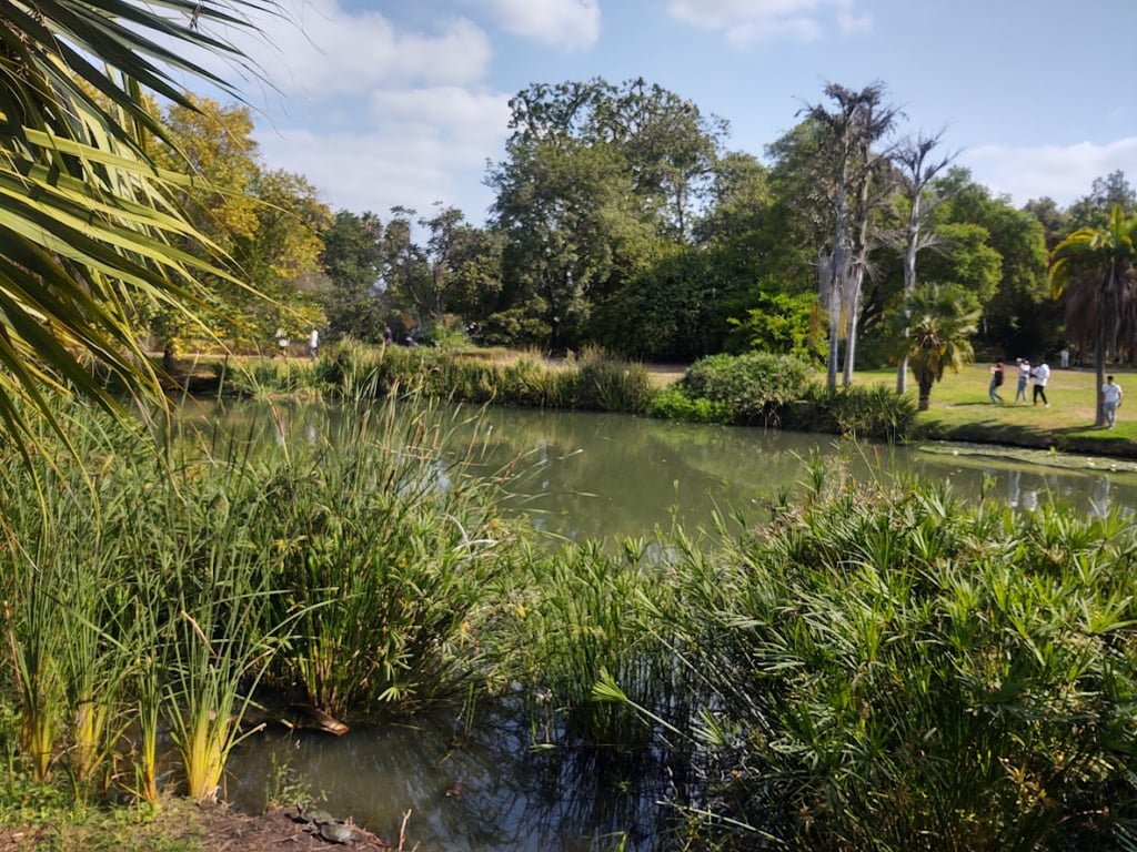 Fullerton Arboretum