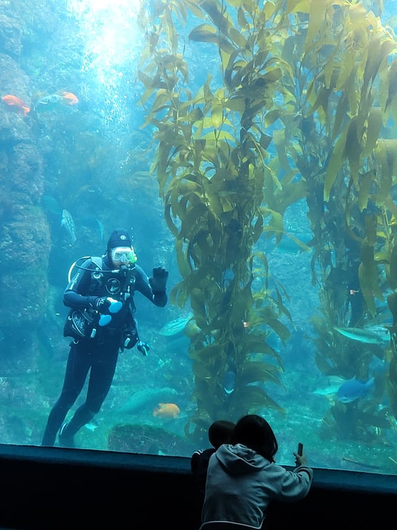 Birch Aquarium