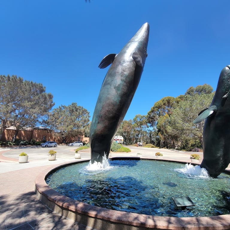 Birch Aquarium