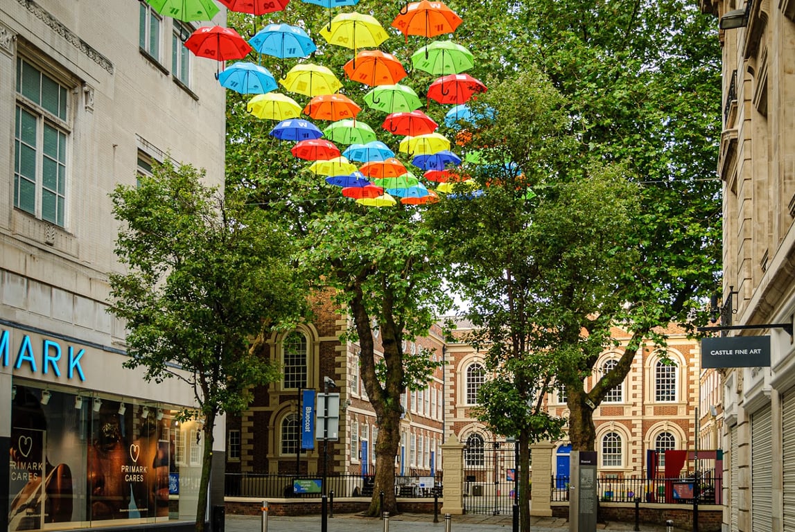 The Bluecoat