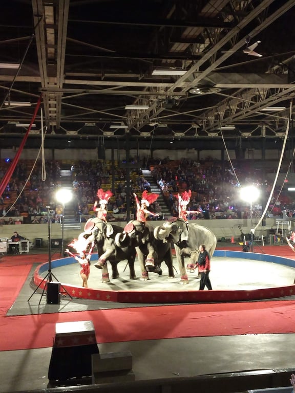 Hippodrome
