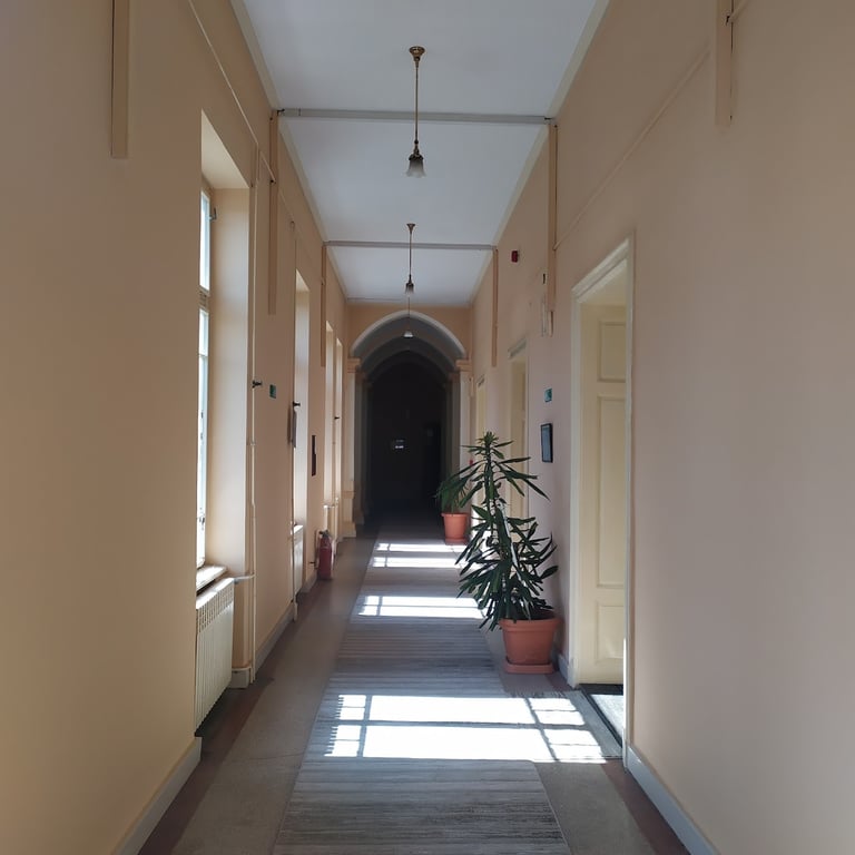 Apatin Hall