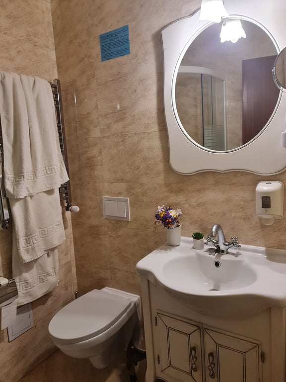 Hotel Carol - Vatra Dornei