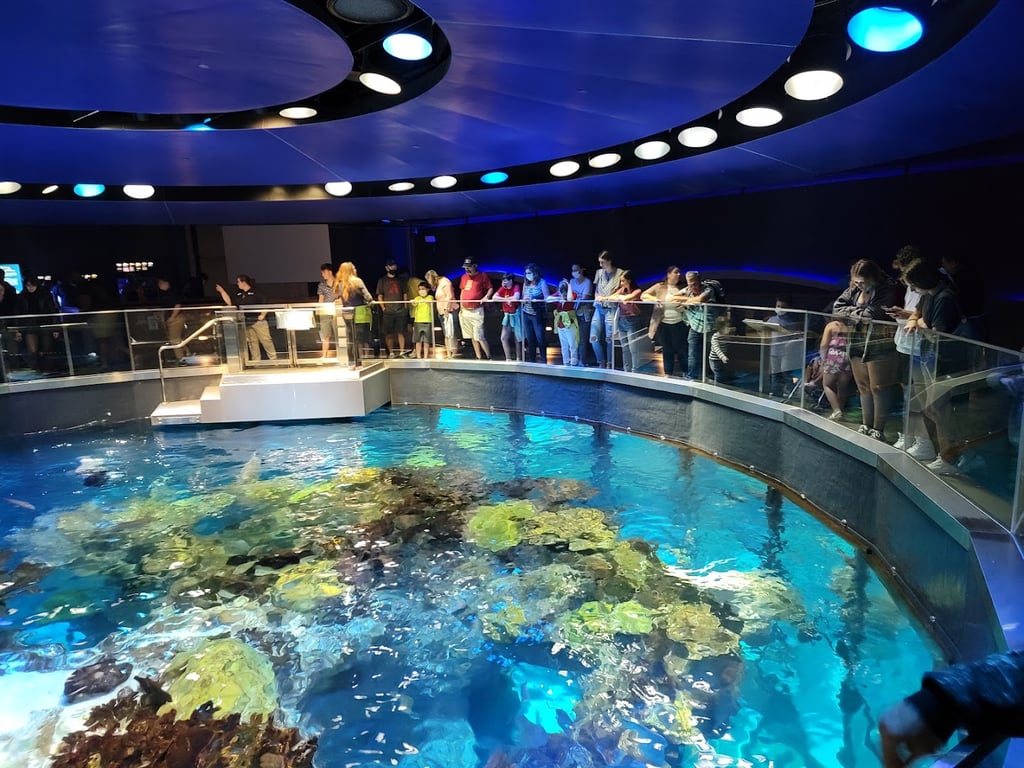 New England Aquarium