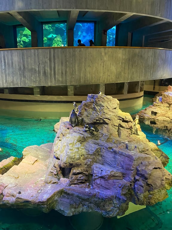 New England Aquarium