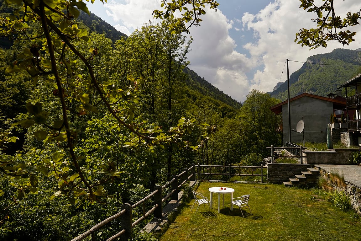 Forest View