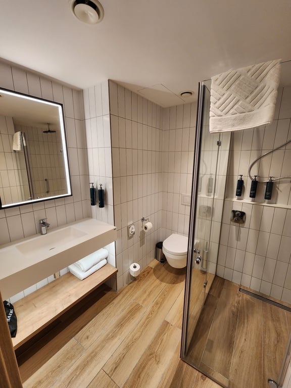 Hilton Garden Inn Bucharest Airport