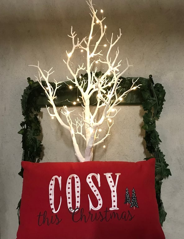 Copper Beech Farm - Santa Expierence