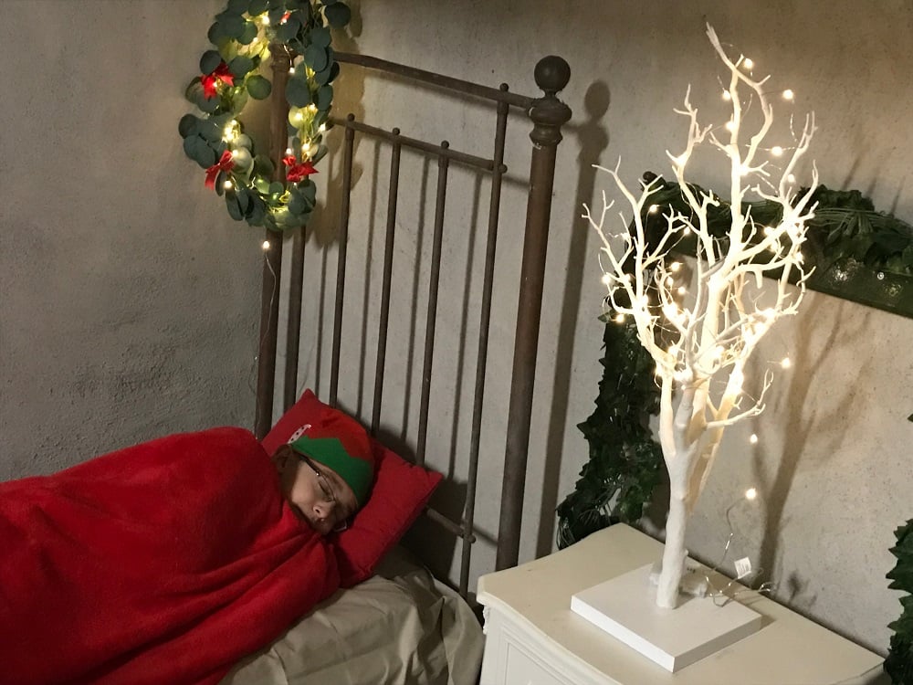 Copper Beech Farm - Santa Expierence