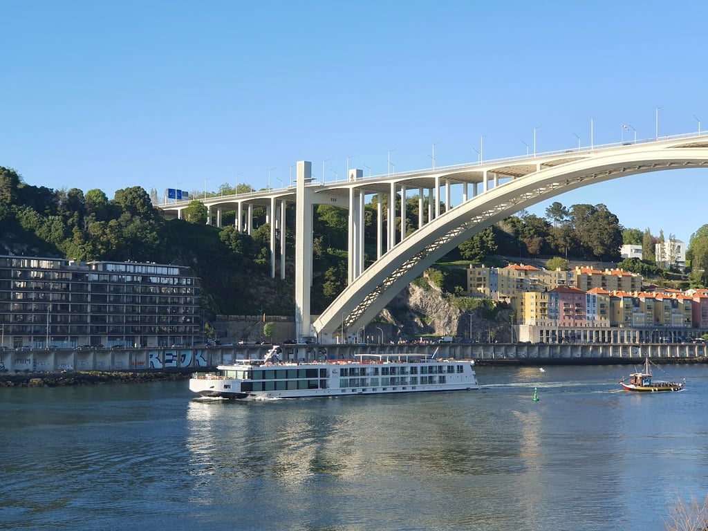 Douro Dreaming