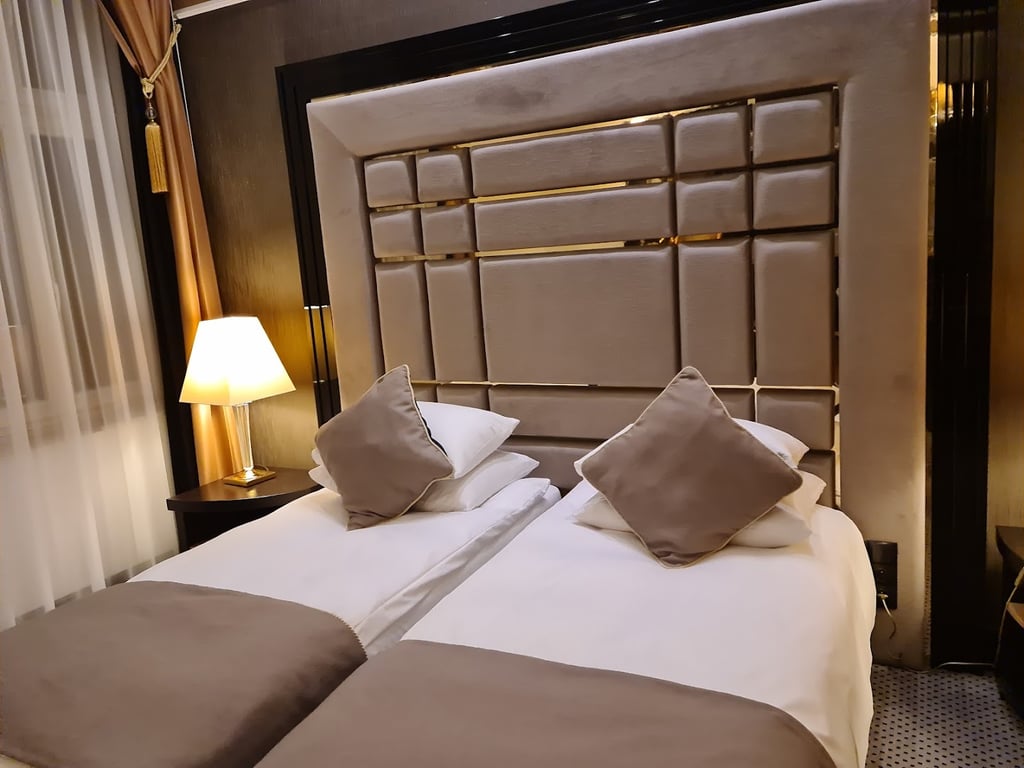 Hotel Dana Business & Conference