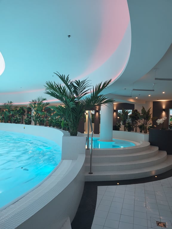 Hotel Dana Business & Conference