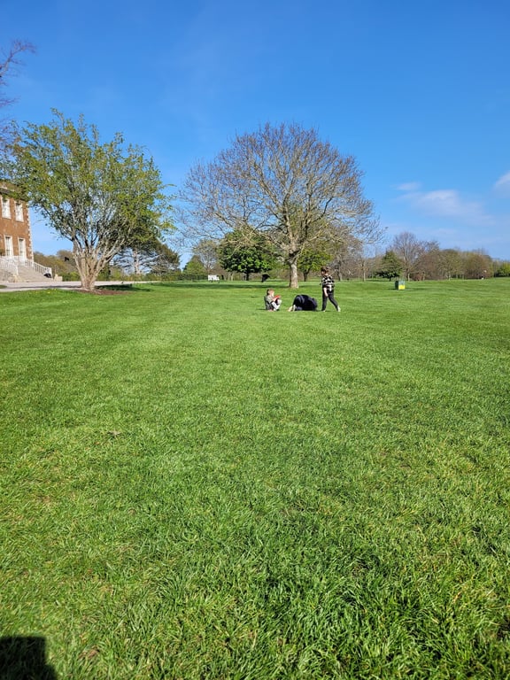 Newbridge House & Farm