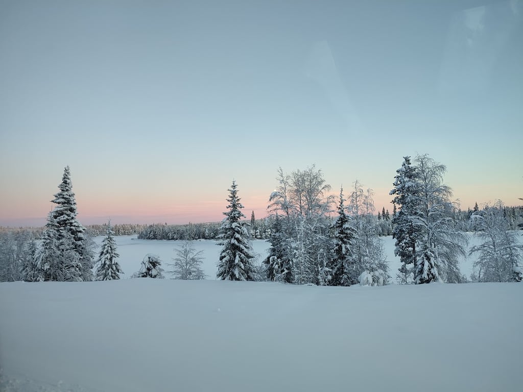 Pinetree Lodge