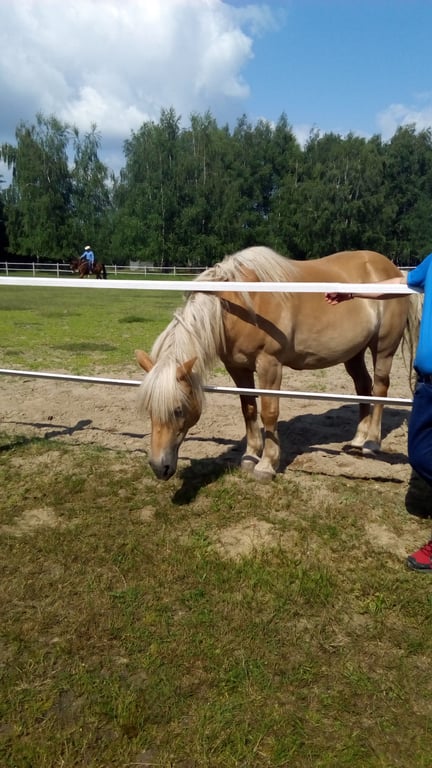 Rancho Pasja
