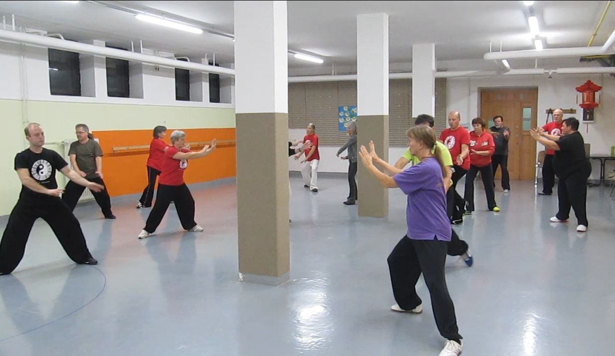 Chen Taijiquan Slovenia