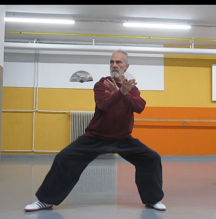 Chen Taijiquan Slovenia