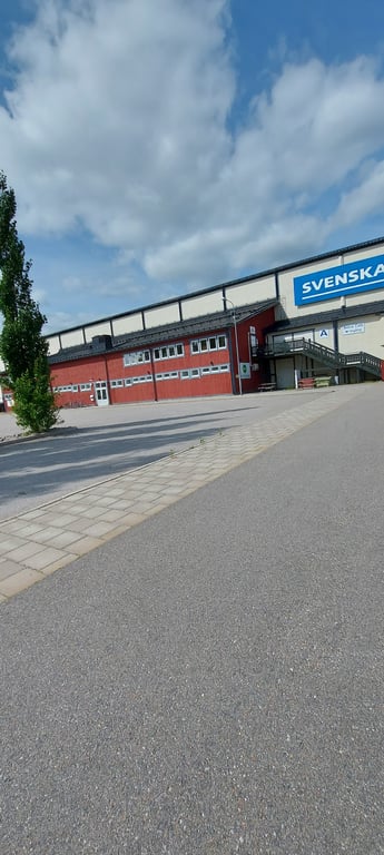 Dina Arena