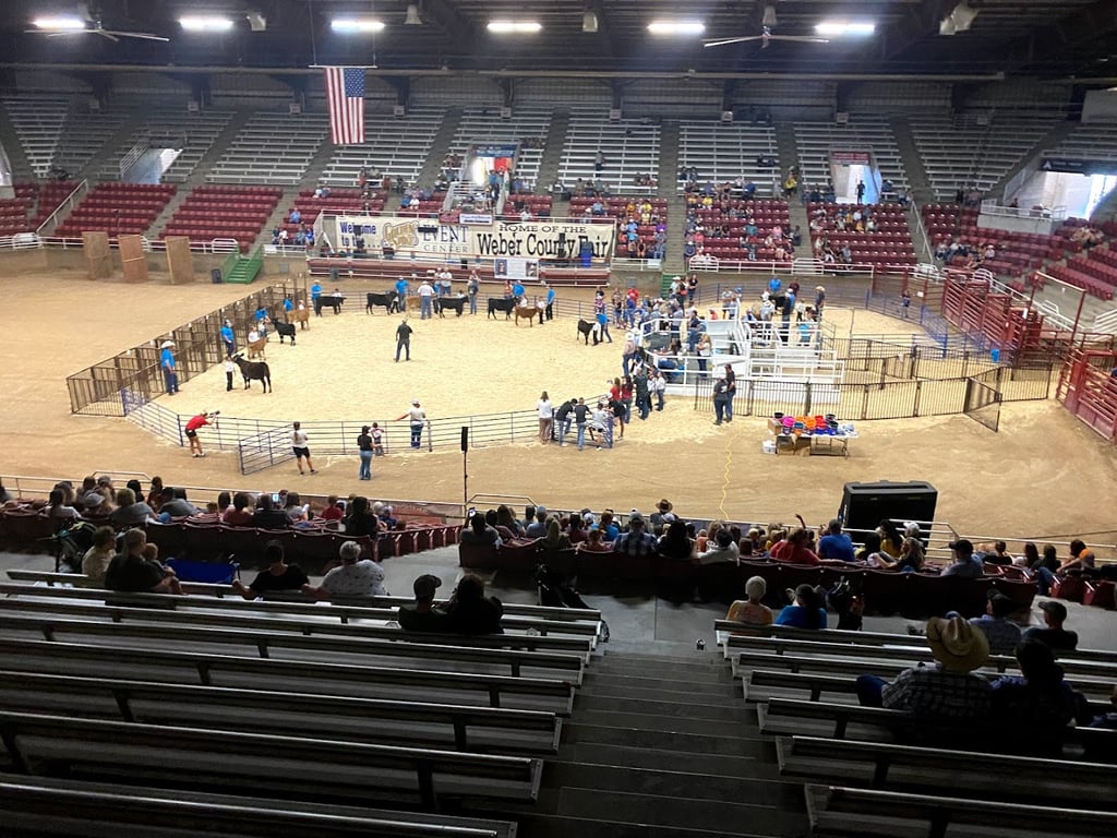 Golden Spike Arena