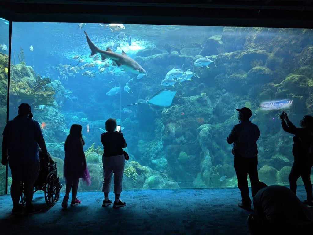 Florida Aquarium