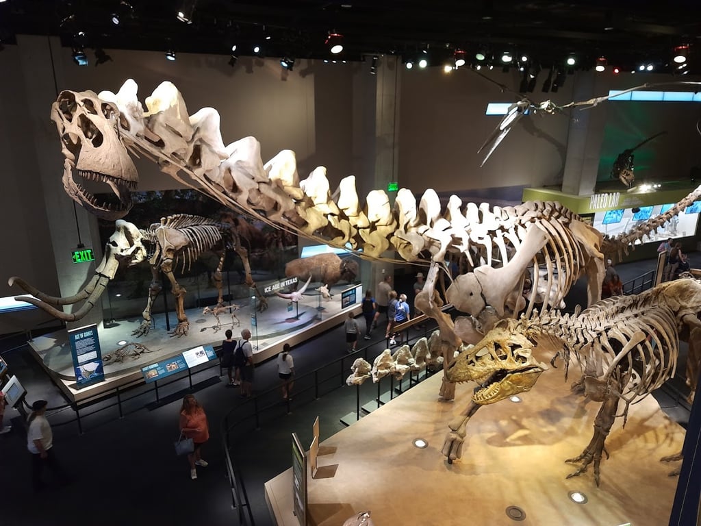 Perot Museum of Science and Nature