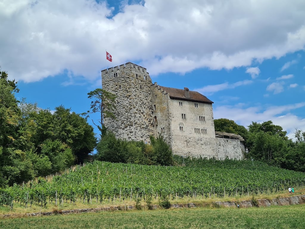Habsburg Castle