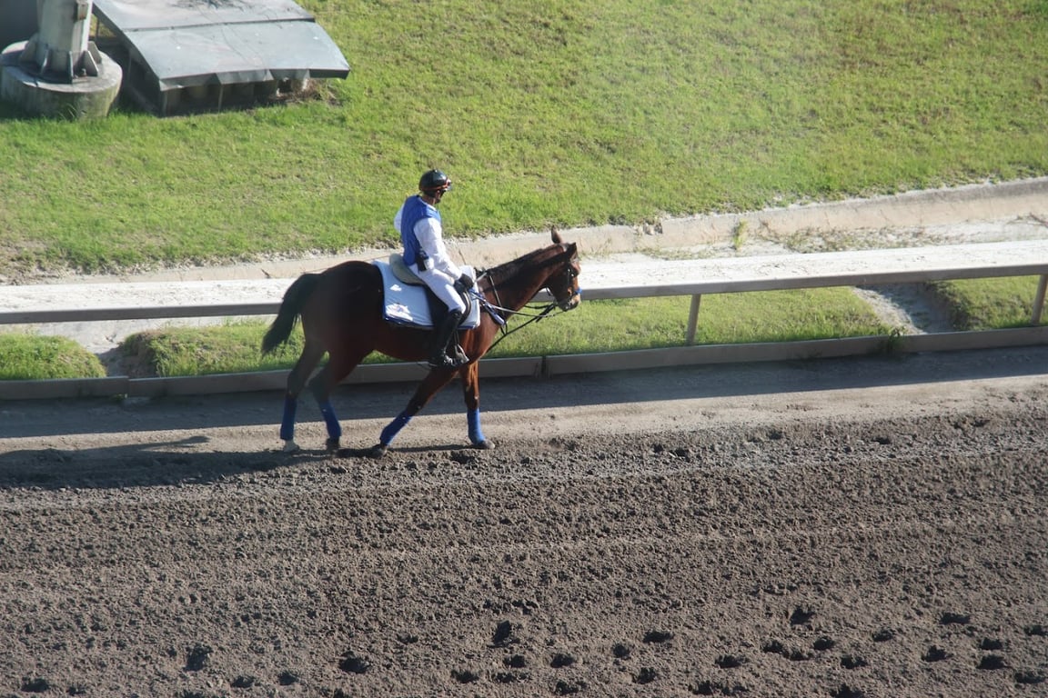Hipódromo de las Américas