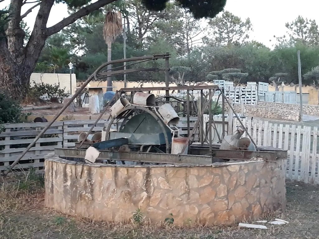 Quinta Vita