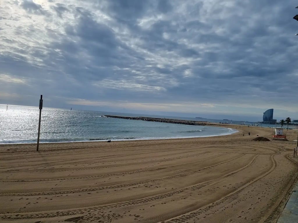 On The Surf