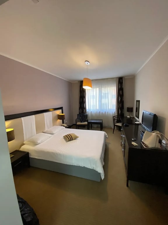 Griff Hotel Zalau