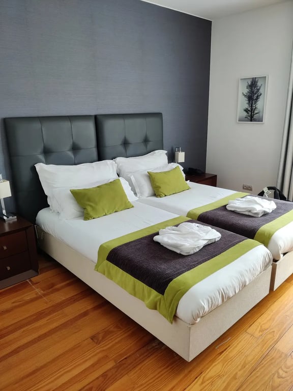 ARTS IN Hotel Conde Carvalhal