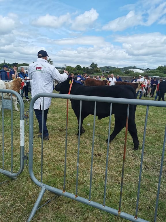 Showgrounds