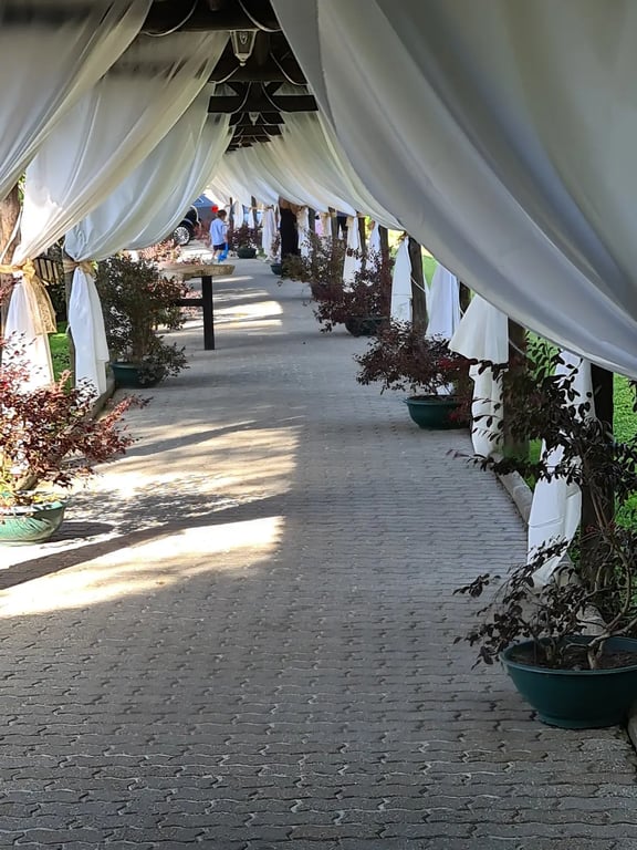 Quinta d'Azenha