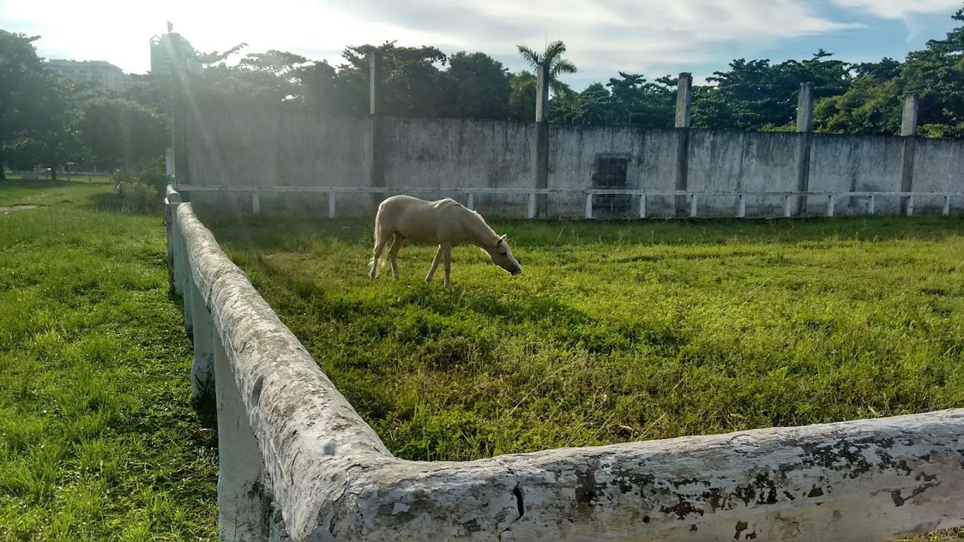 Marapendi Club