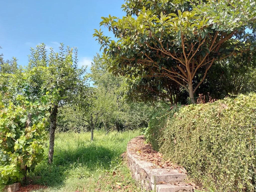 Moinhos da Tojeira