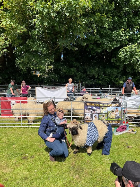 Corrandulla Agricultural Show Society